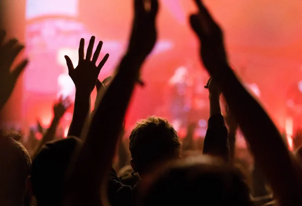 Menigte Concert Zomer Muziekfestival — Stockfoto