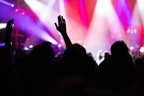 Multitud Concierto Festival Música Verano — Foto de Stock