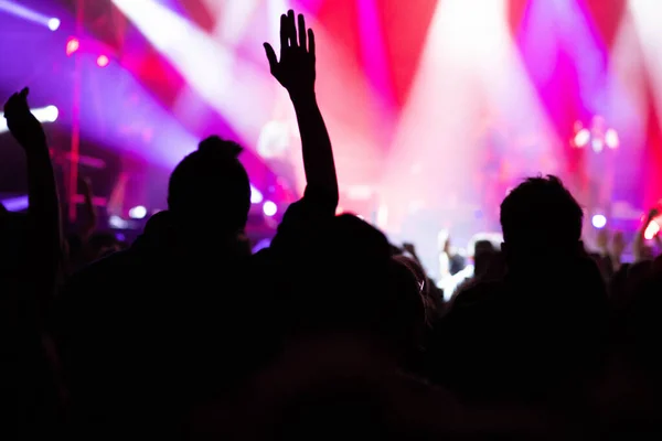 Konserdeki Kalabalık Yaz Müzik Festivali — Stok fotoğraf