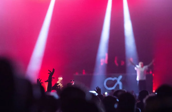 Konserdeki Kalabalık Yaz Müzik Festivali — Stok fotoğraf