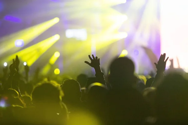 Konserdeki Kalabalık Yaz Müzik Festivali — Stok fotoğraf