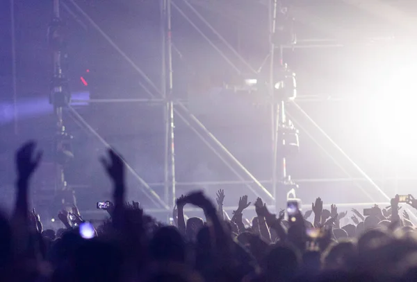 crowd at concert - summer music festival