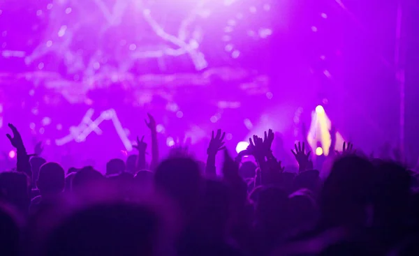 crowd at concert - summer music festival