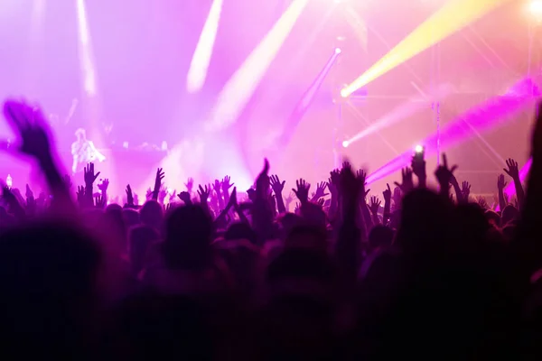 crowd at concert - summer music festival