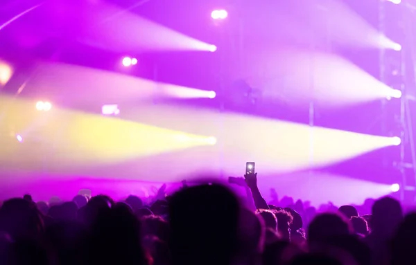 crowd at concert - summer music festival