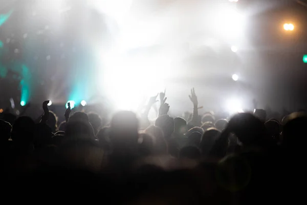 crowd at concert - summer music festival