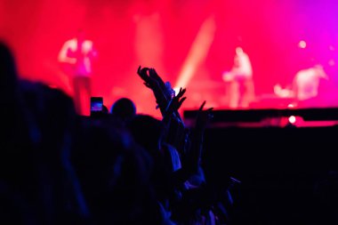  crowd partying stage lights live concert summer music festival