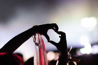  Kalabalık sahne ışıkları canlı konser yaz müzik festivali