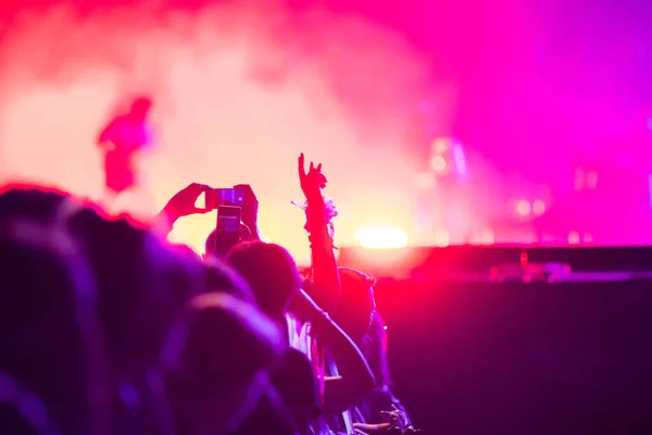 Crowd Partying Stage Lights Live Concert Summer Music Festival — ストック写真