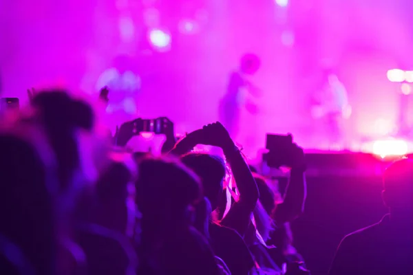 Tłum Imprezowanie Światła Sceny Koncert Żywo Letni Festiwal Muzyczny — Zdjęcie stockowe