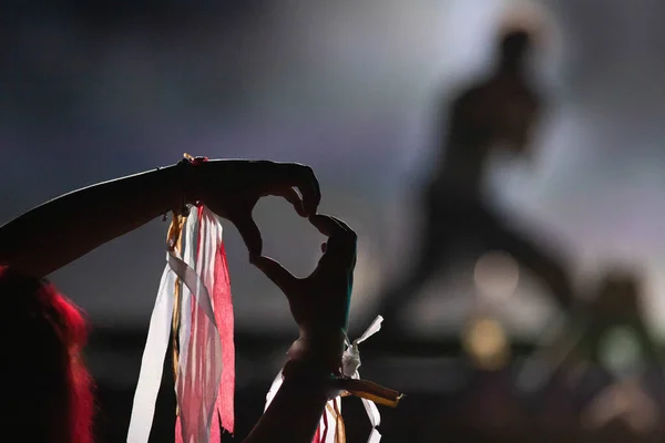 Menge Feiert Bühnenbeleuchtung Live Konzert Sommer Musikfestival — Stockfoto