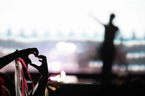 Crowd Partying Stage Lights Live Concert Summer Music Festival — Stock Photo, Image