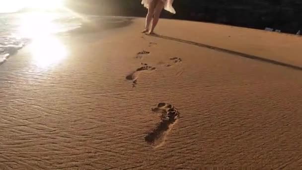 Mulher Andando Praia Pôr Sol Vídeo De Bancos De Imagens