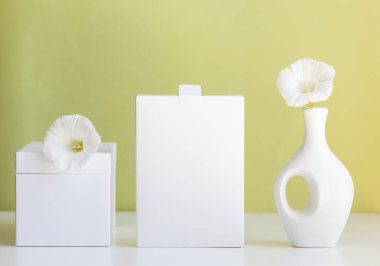 cosmetic product mock up with white boxes and vase on light green background