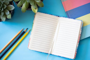 school accessories with notebook and succulents on blue