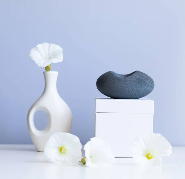 Cosmetic Product Mock White Boxes Vase — Fotografia de Stock