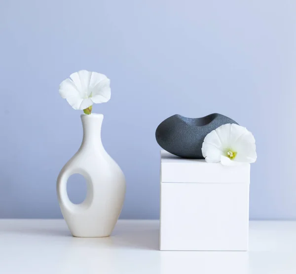 Cosmetic Product Mock White Boxes Vase — Stok fotoğraf