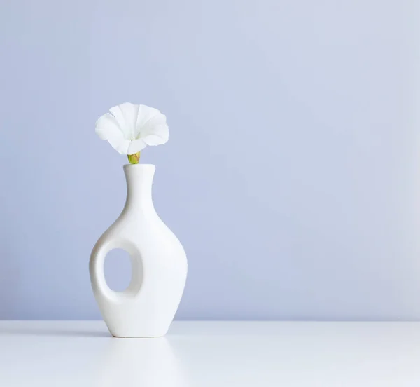 White Vase White Flower Abstract Light Blue Background — Zdjęcie stockowe