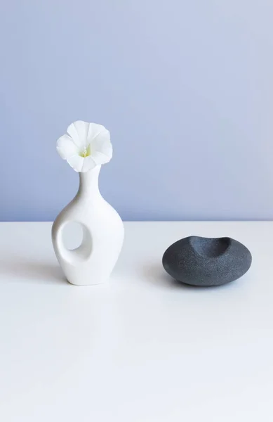 Cosmetic Product Mock White Boxes Vase — Stock Fotó