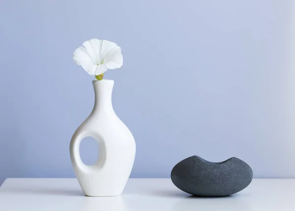 Cosmetic Product Mock White Boxes Vase — Fotografia de Stock