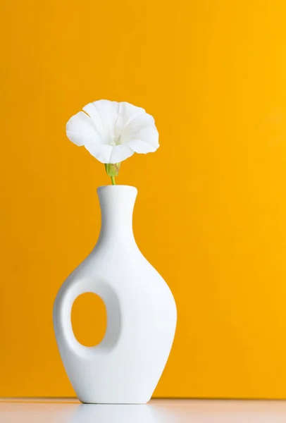 White Vase White Flower Yellow Background — Stock fotografie