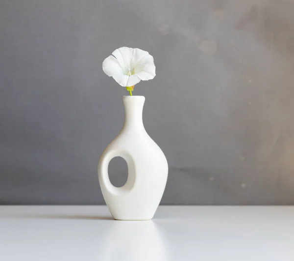 White Vase White Flower Vintage Grey Background — Stock Photo, Image