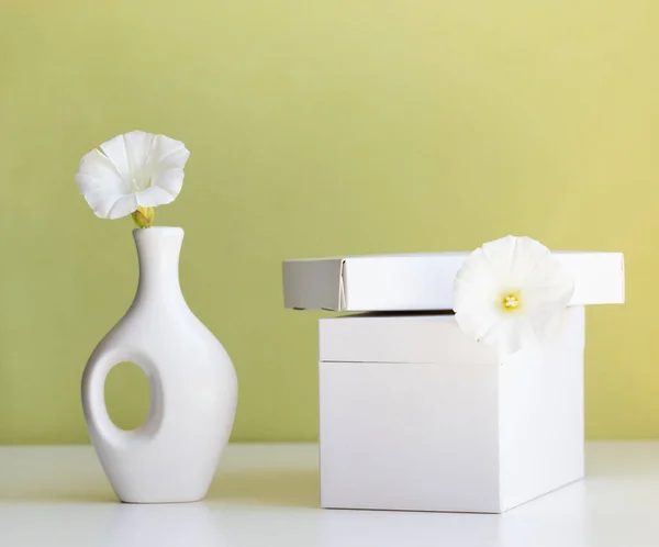 Cosmetic Product Mock White Boxes Vase Light Green Background — Photo