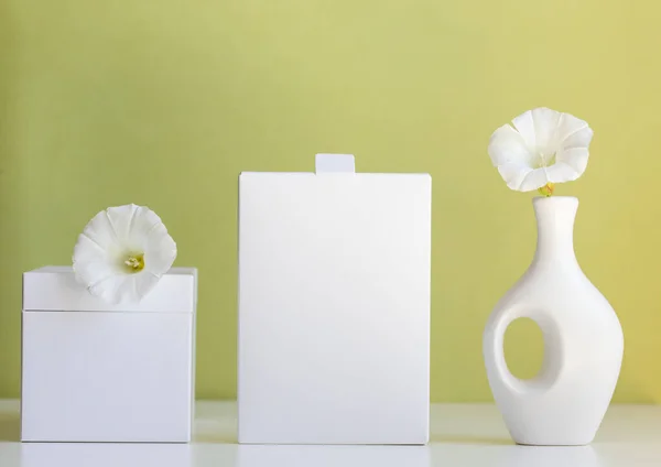 Cosmetic Product Mock White Boxes Vase Light Green Background — Photo