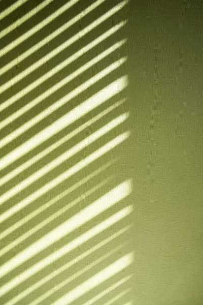 Striped Light Green Summer Background — Fotografia de Stock