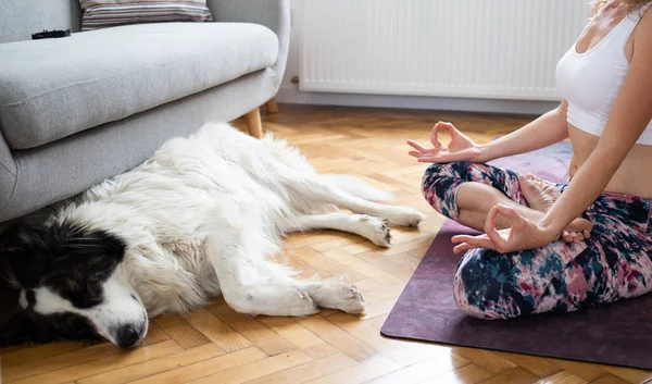 Woman Doing Yoga Home Healthy Lifestyle — Stockfoto