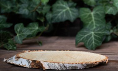 wood slice podium and dark green leaves background for cosmetic product mockup