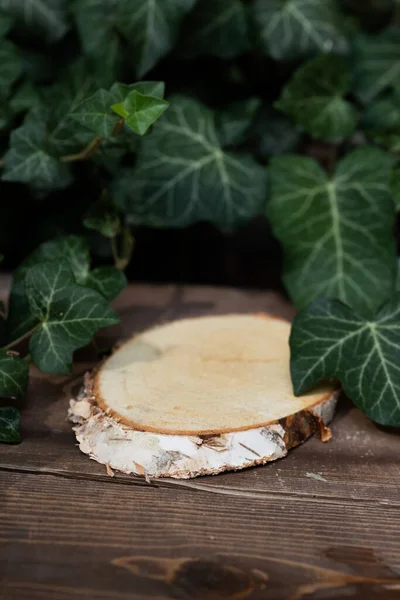 wood slice podium and dark green leaves background for cosmetic product mockup