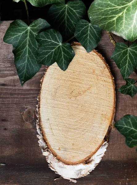 Wood Slice Podium Dark Green Leaves Background Cosmetic Product Mockup — Fotografia de Stock