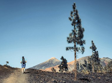 El Teide Ulusal Parkı 'ndaki volkana doğru yürüyen adam Tenerife