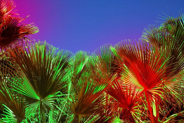 Tropical Plants Neon Lights Hallucination — Foto Stock