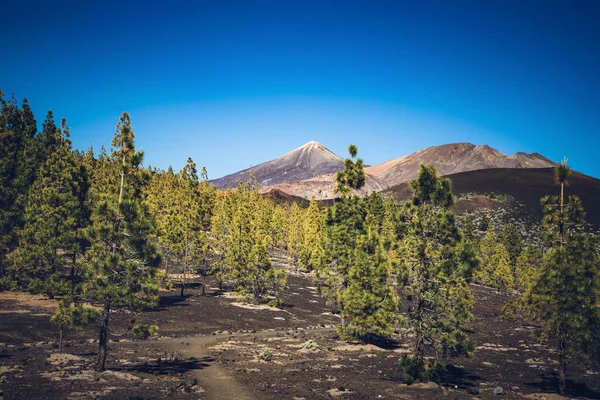 Geweldig Landschap Teide Nationaal Park — Stockfoto