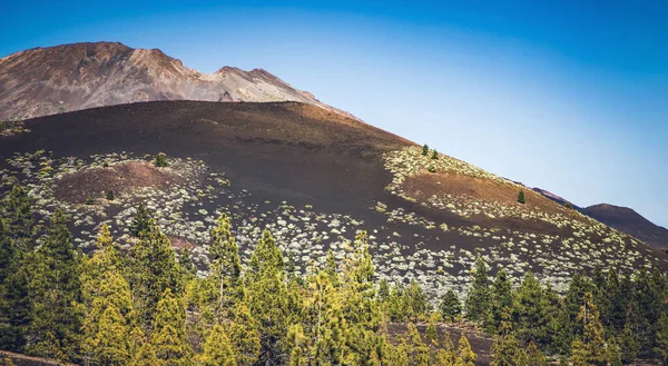 Paysage Incroyable Dans Parc National Teide — Photo