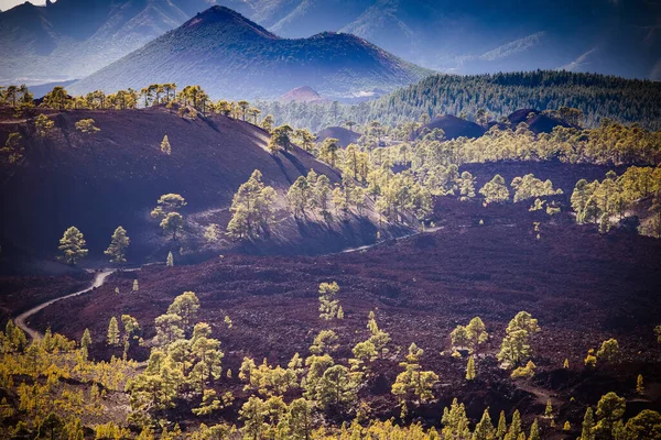 Paysage Incroyable Dans Parc National Teide — Photo