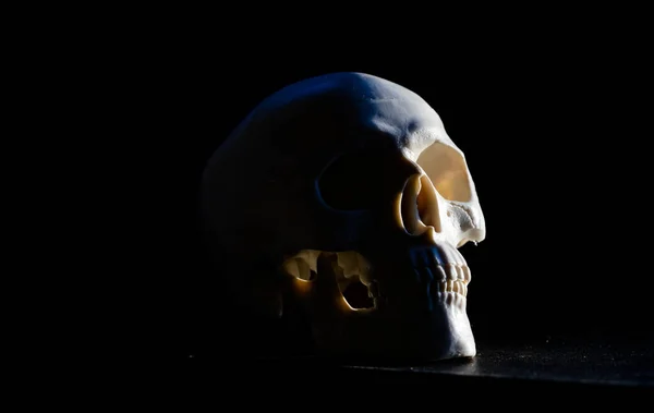 恐ろしい人間の頭蓋骨の恐怖ハロウィン — ストック写真