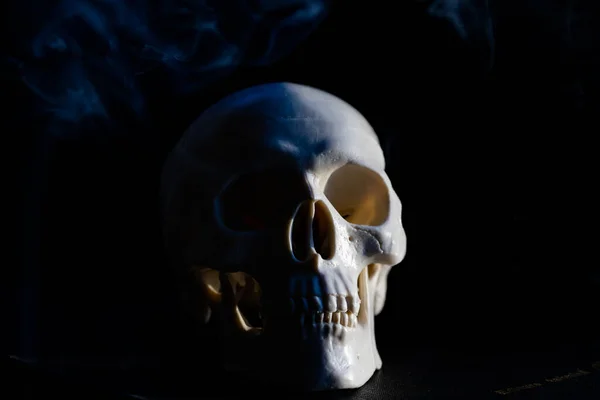 Scary Human Skull Horror Halloween — Stock Photo, Image