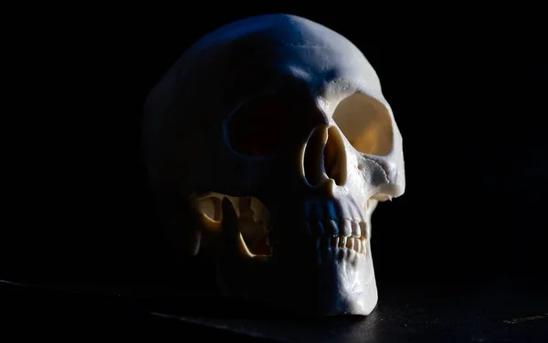 Assustador Crânio Humano Horror Halloween — Fotografia de Stock