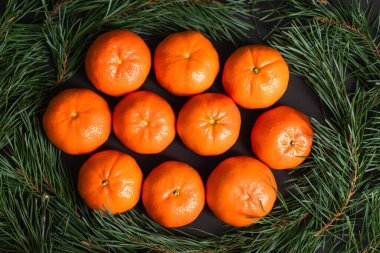 top view of ripe tangerines near golden christmas balls near fir branches clipart