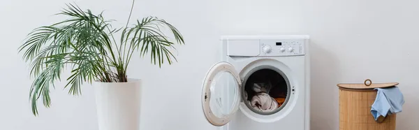 Grön Växt Tvättmaskin Och Tvättkorg Nära Vit Vägg Banner — Stockfoto