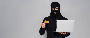 Hacker in balaclava holding laptop and credit card isolated on grey, banner  clipart
