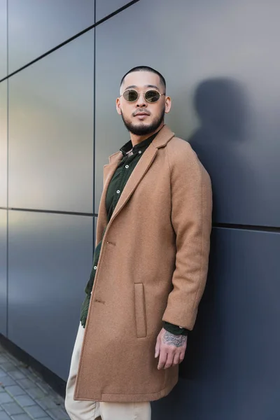 Bearded Asian Man Trendy Sunglasses Coat Looking Away Grey Wall — Stock Photo, Image