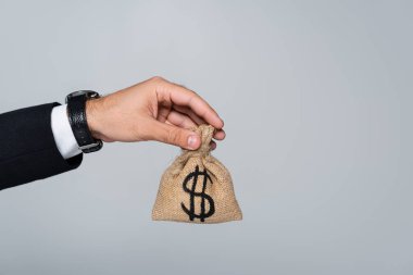 Gri üzerinde dolar işareti olan para çantası tutan adam görüntüsü.