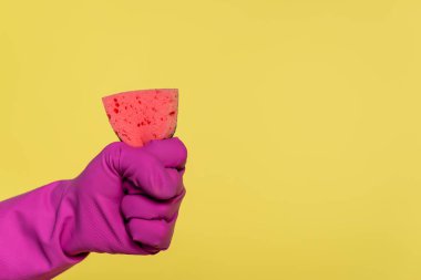 Sarı renkli pembe sünger tutan lastik eldivenli adamın kısmi görüntüsü.