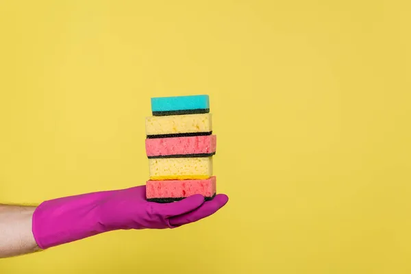 Visão Parcial Homem Luva Borracha Segurando Pilha Esponjas Isoladas Amarelo — Fotografia de Stock