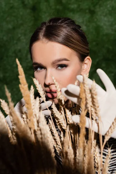 trendy young model in blouse with animal print and white gloves posing near blurred wheat spikelets