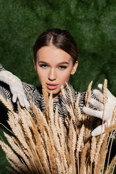 trendy model in blouse with animal print and white gloves posing near wheat spikelets